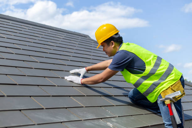 Best Roof Gutter Cleaning  in Fkville, AL