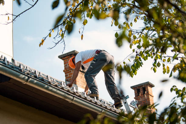 Best Slate Roofing Contractor  in Fkville, AL