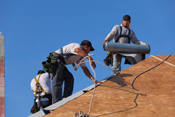 Best Emergency Roof Repair  in Fkville, AL