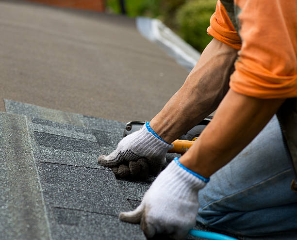 Gutter Installation and Roofing in Falkville, AL