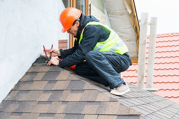 Best Roof Restoration Services  in Fkville, AL