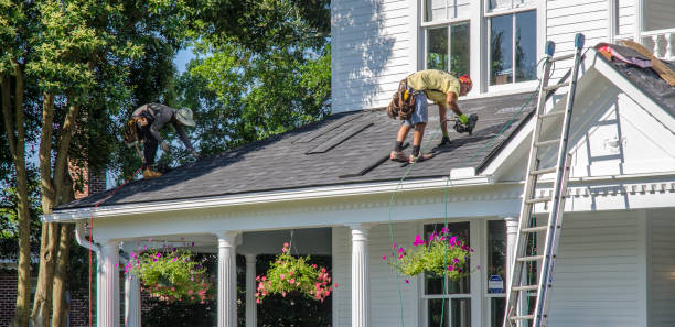 Best Gutter Installation and Roofing  in Fkville, AL
